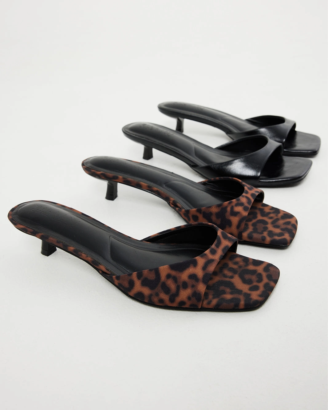 BRODY - LEOPARD