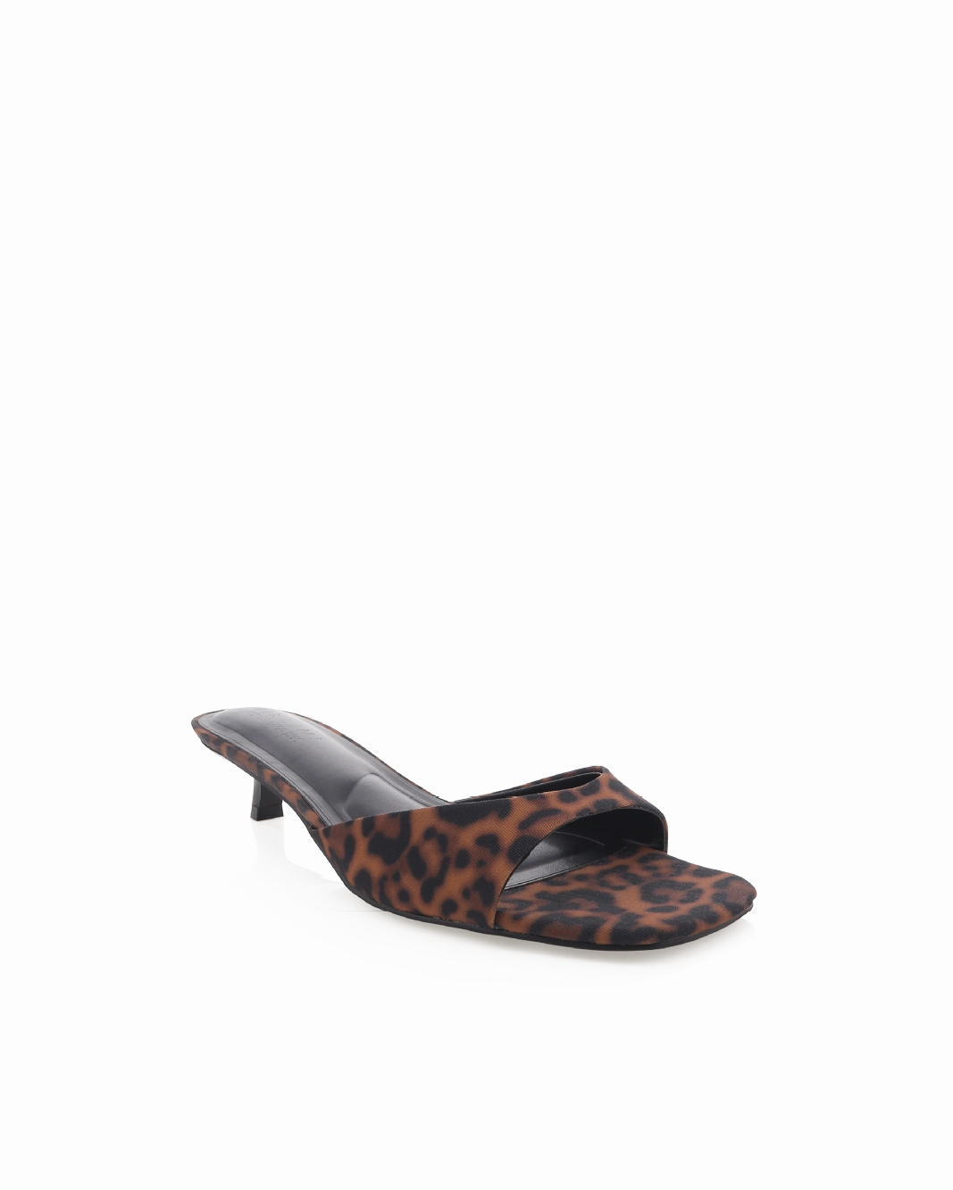 BRODY - LEOPARD