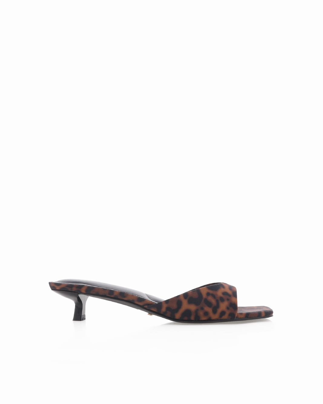 BRODY - LEOPARD