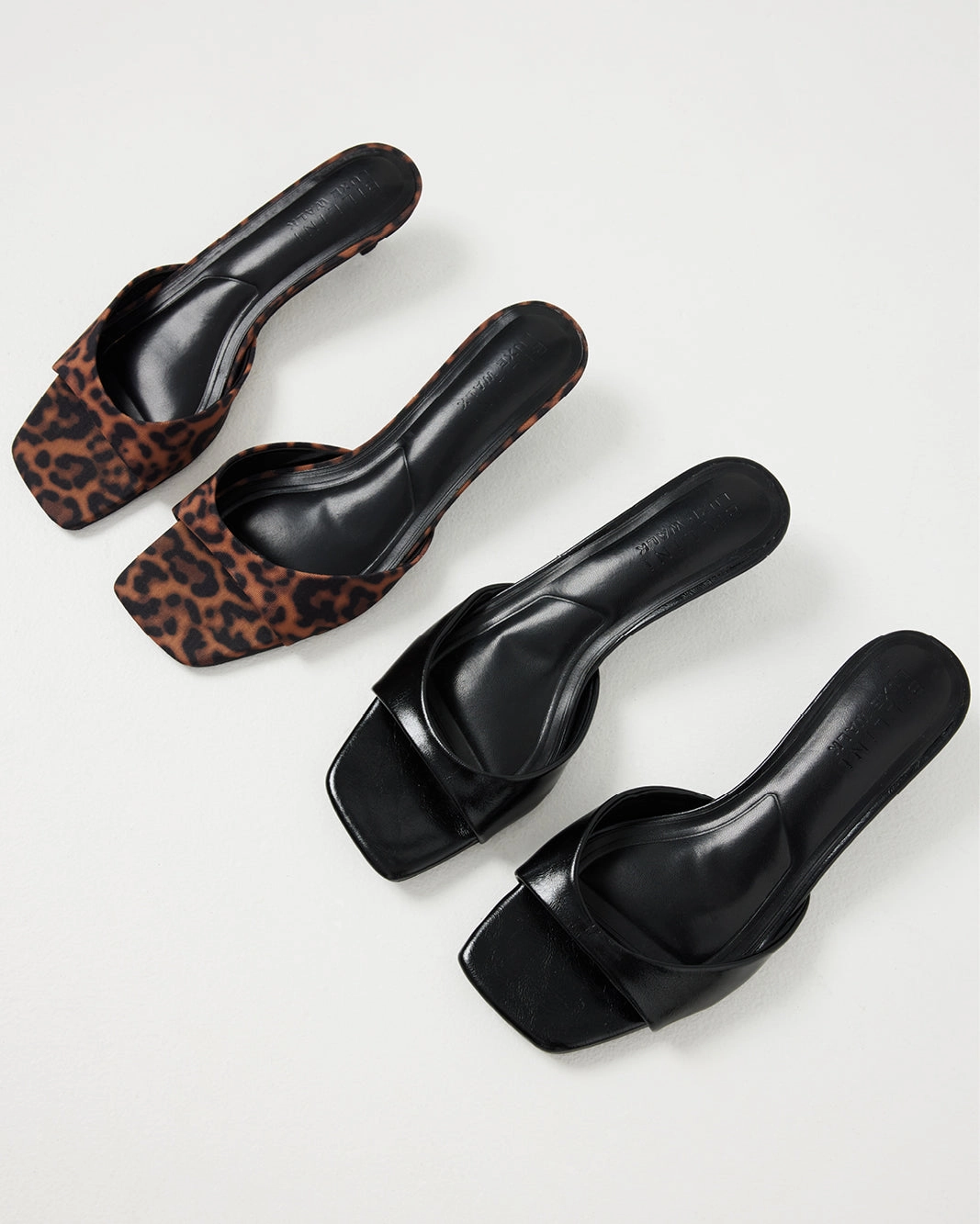 BRODY - LEOPARD