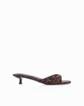 BRODY - LEOPARD