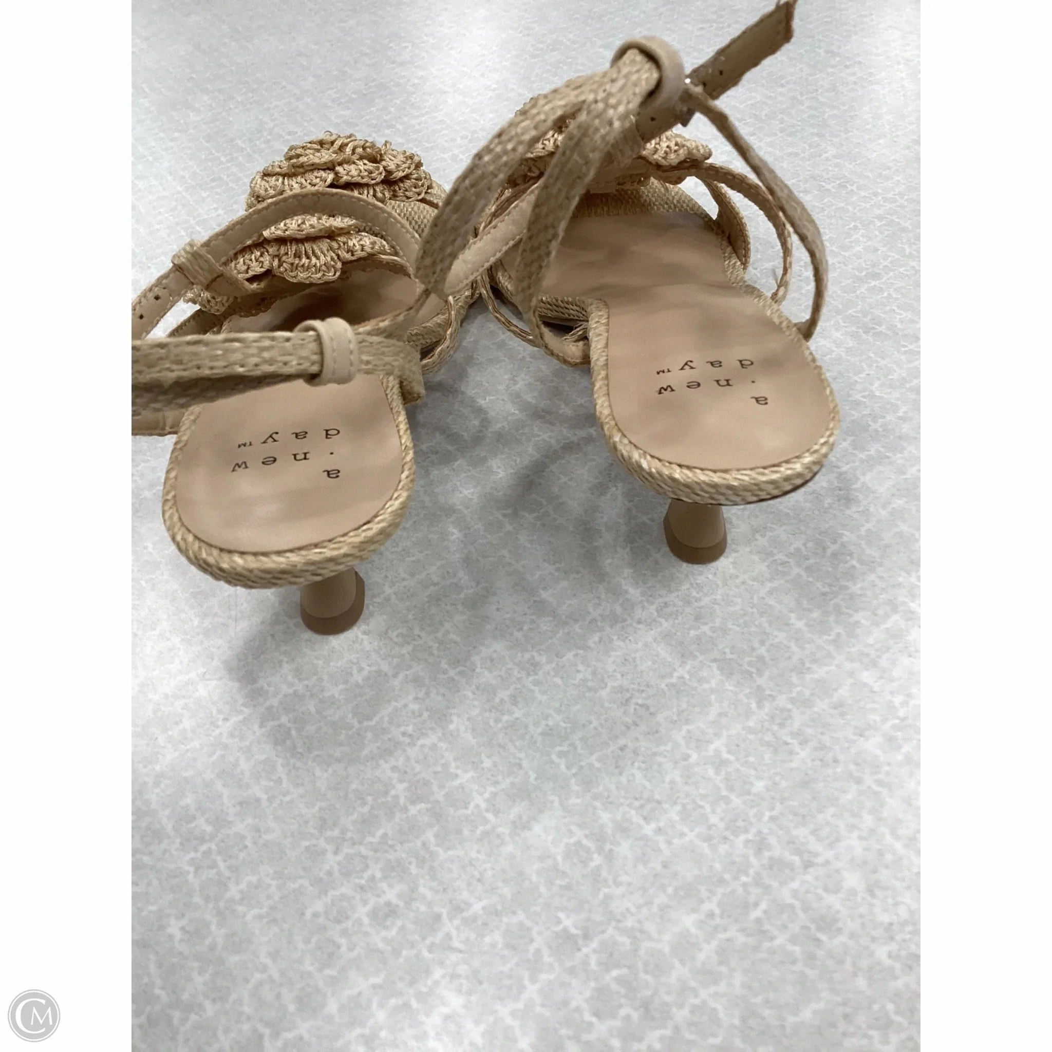 Shoes Heels Kitten By A New Day In beige , Size: 10