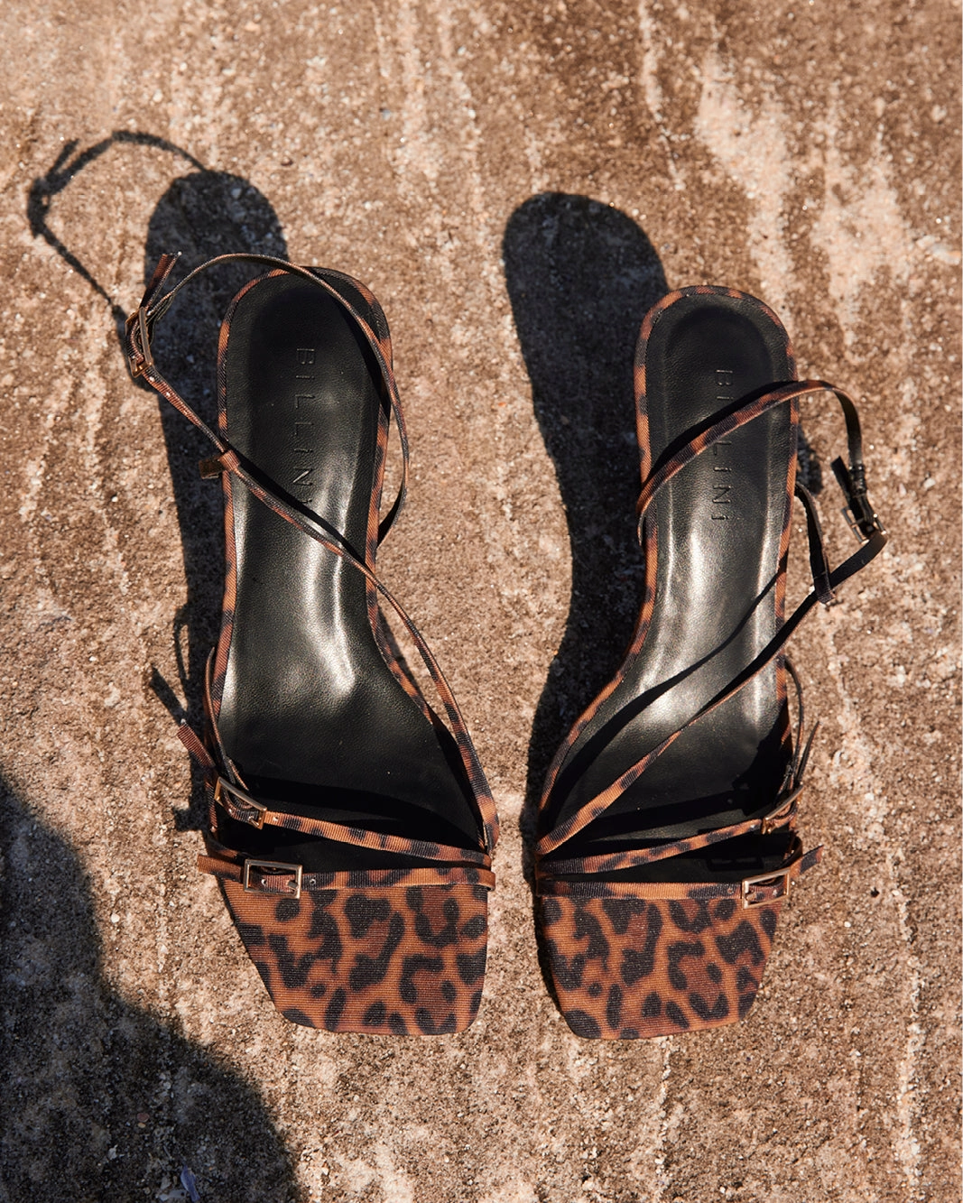 TOSHIE - LEOPARD