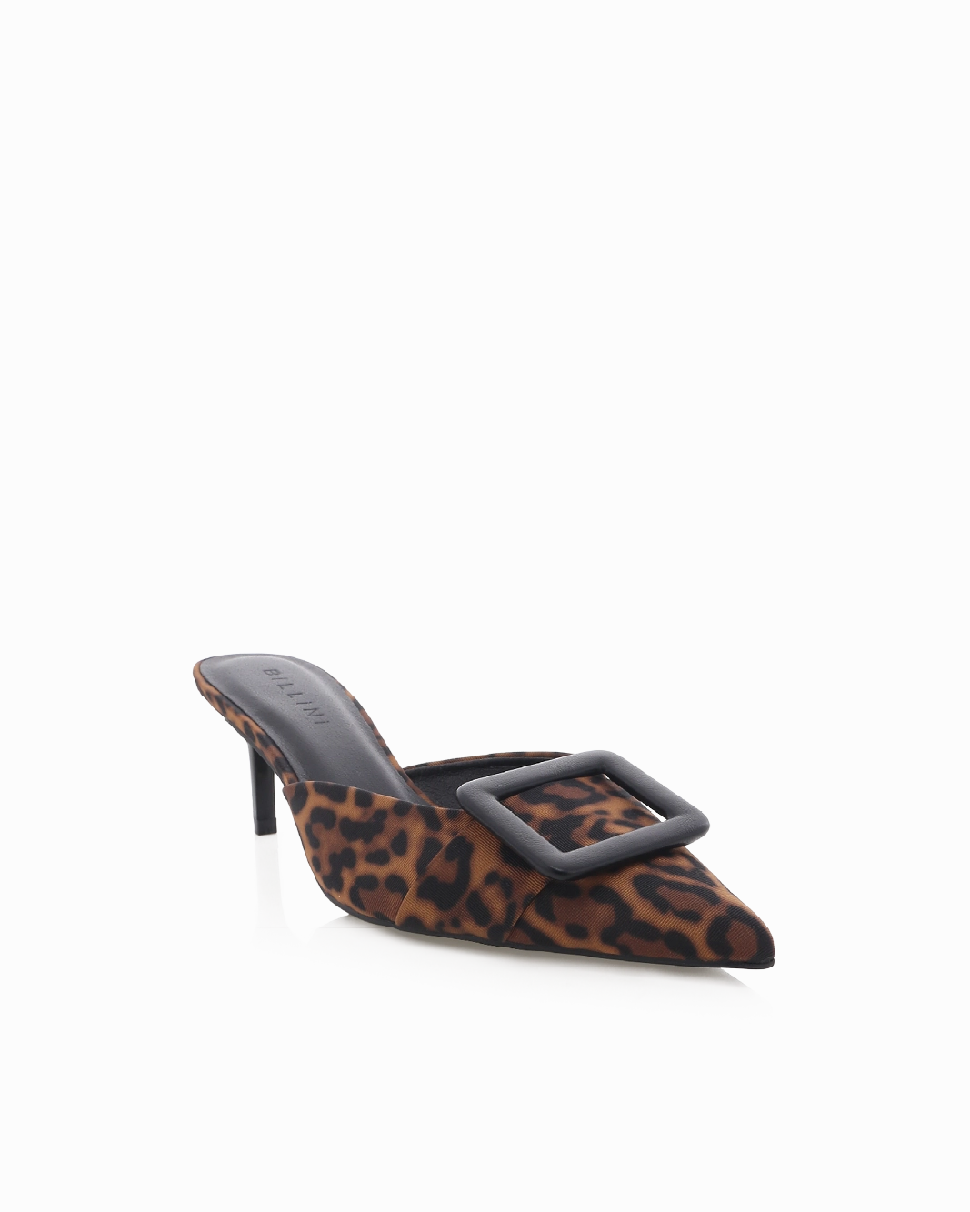 YORKIE - LEOPARD
