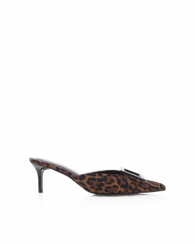 YORKIE - LEOPARD