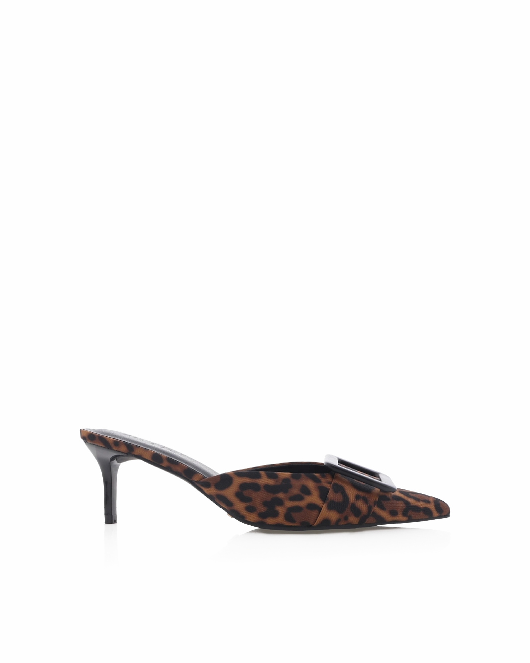 YORKIE - LEOPARD
